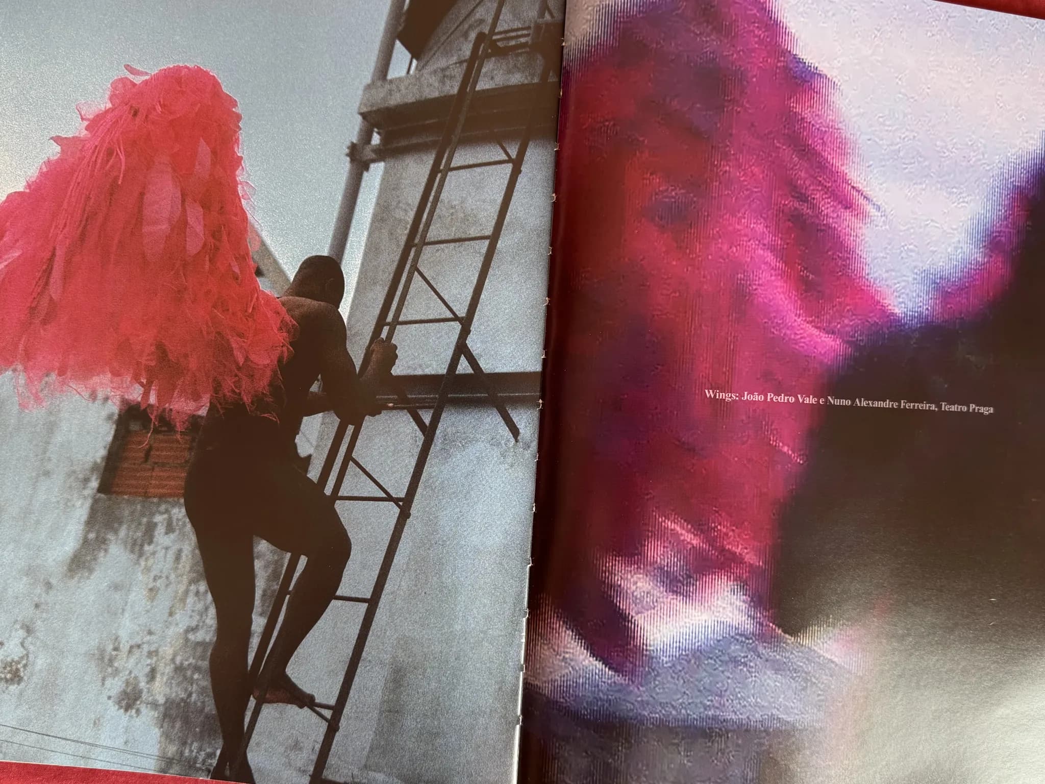 Magazine spread: model in a pink feathered piece climbing a metal ladder against a concrete wall, beside a blurred magenta feather study