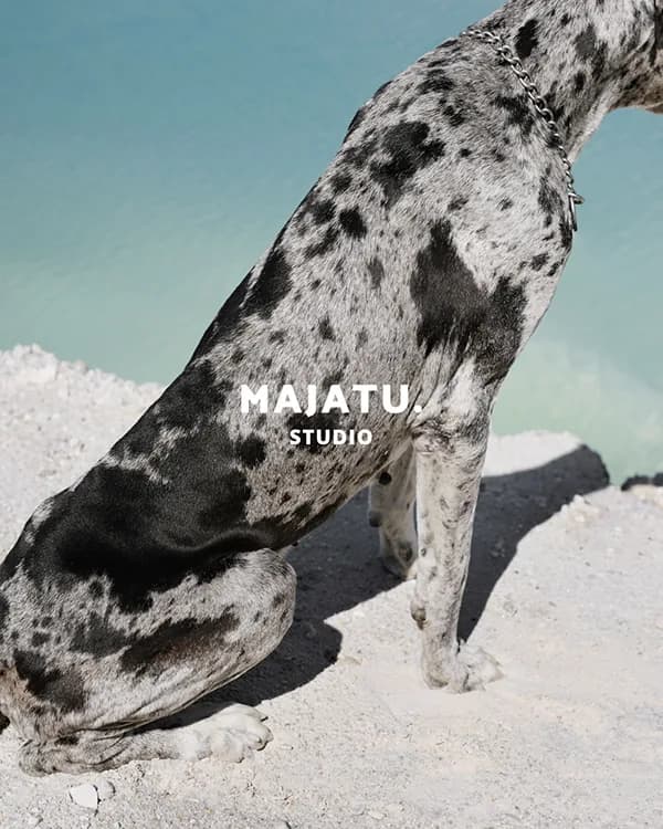 Great Dane sitting on white salt flats above turquoise water, MAJATU. Studio logo overlaid