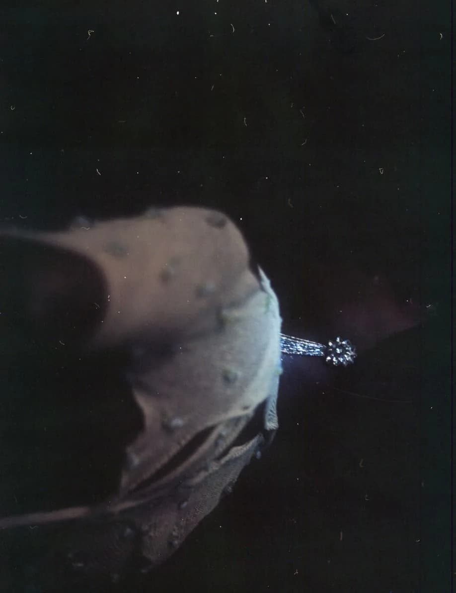 Dark film frame with pale fabric catching a single point of light