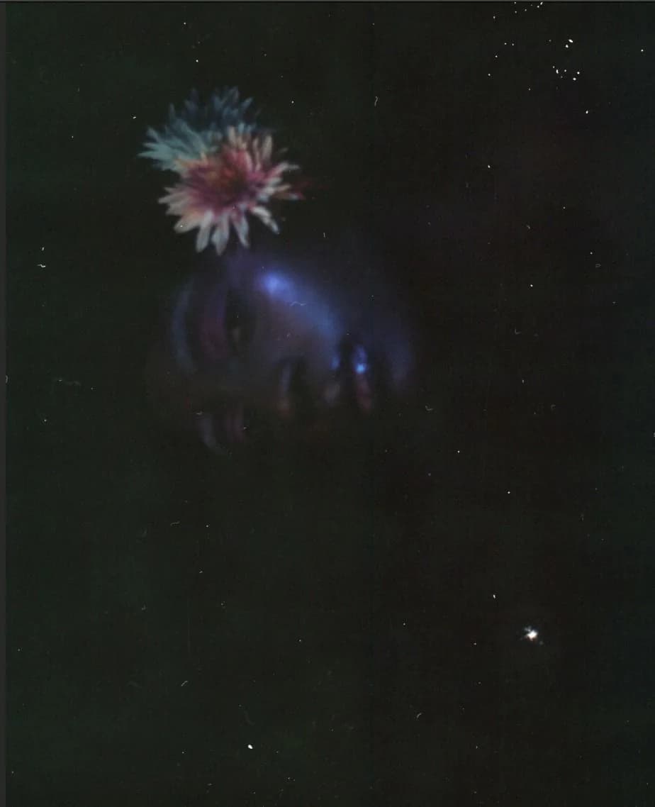 Barely-lit film frame of a flower held above a face in deep shadow